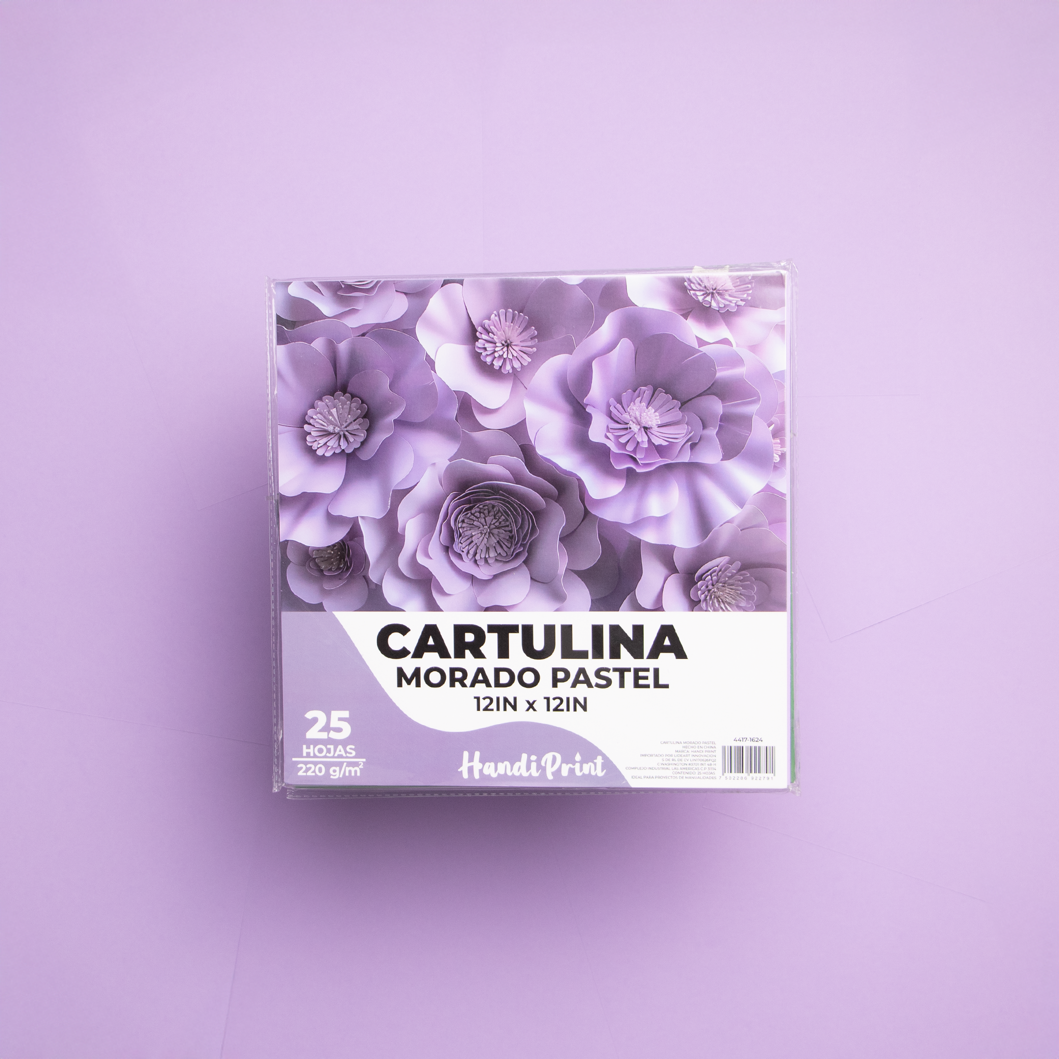 PAQUETE DE CARTULINAS 12X12" PAQ. 25 PZA HANDI PRINT