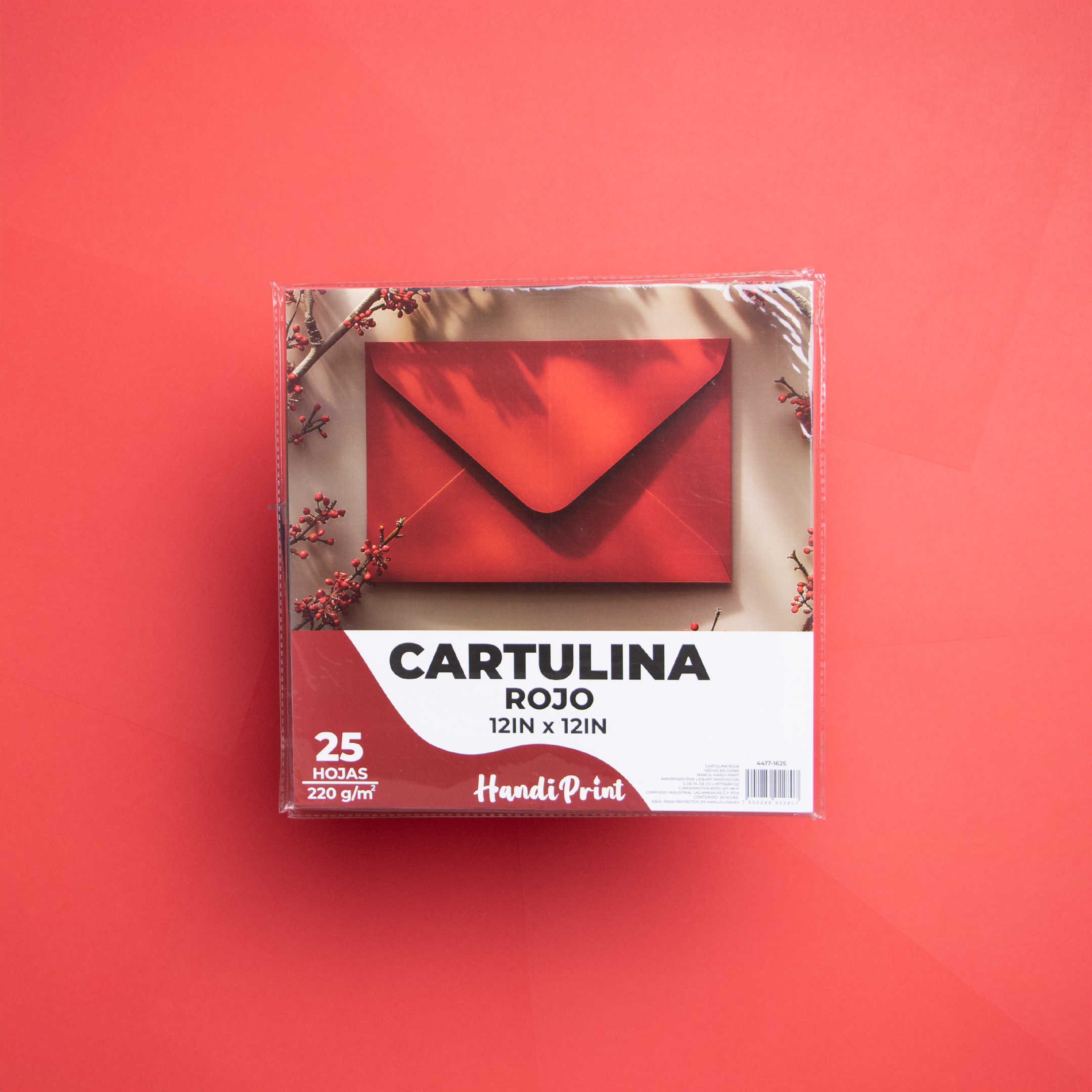 PAQUETE DE CARTULINAS 12X12" PAQ. 25 PZA HANDI PRINT