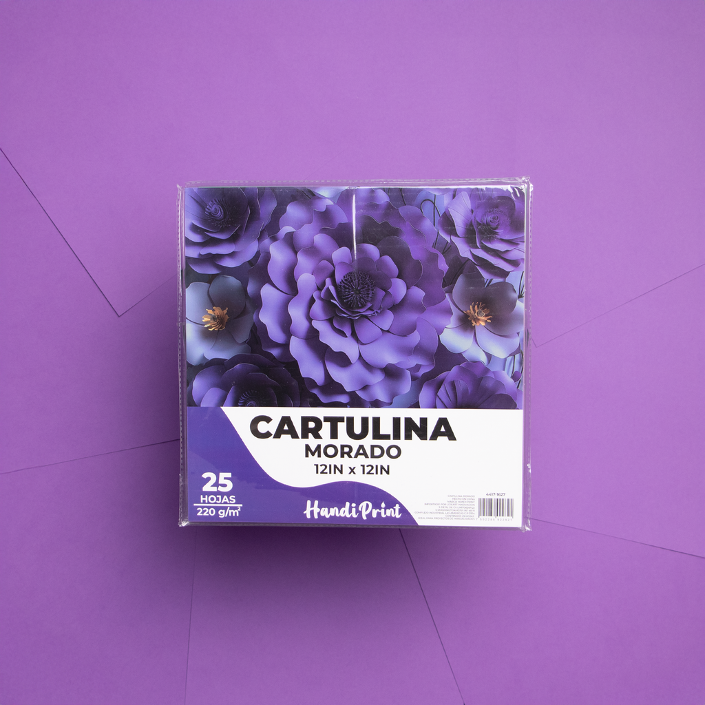 PAQUETE DE CARTULINAS 12X12" PAQ. 25 PZA HANDI PRINT