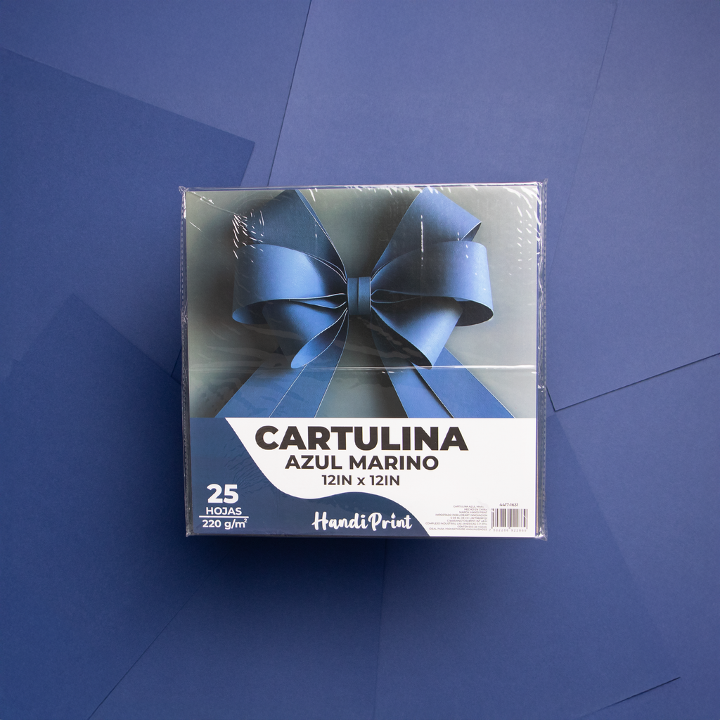 PAQUETE DE CARTULINAS 12X12" PAQ. 25 PZA HANDI PRINT